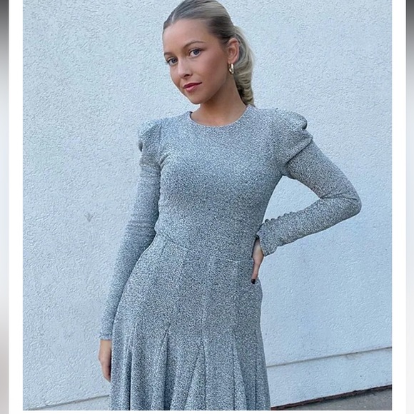 NWT Antonio Melani
x Born on Fifth Celine Metallic Midi Skirt - Picture 6 of 16